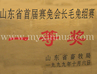 山東省首屆賽兔會(huì)長毛兔組賽獎(jiǎng)項(xiàng)